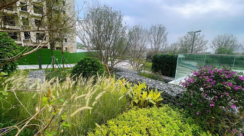 041741057162390718.jpeg 10.jpg